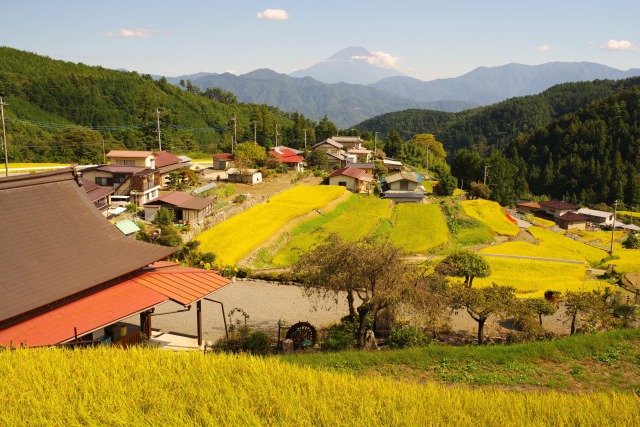 田の価格は65万7000円 山林素地は31年ぶり上昇